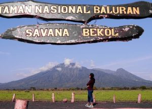 Taman Wisata Baluran Keindahan Alam Africa Di Ujung Pulau Jawa
