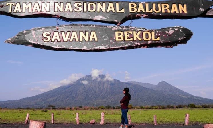 Taman Wisata Baluran Keindahan Alam Africa Di Ujung Pulau Jawa
